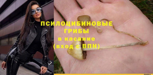 PSILOCYBIN Лагань