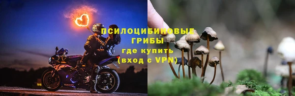 PSILOCYBIN Лагань