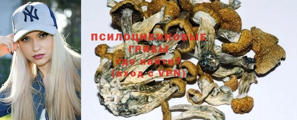 PSILOCYBIN Лагань