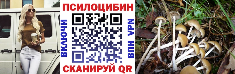 Купить где  Дигора  Псилоцибиновые грибы Magic Shrooms 