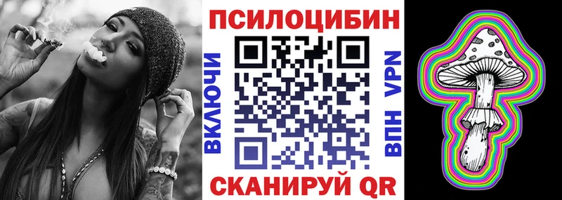 Псилоцибиновые грибы Psilocybe Дигора